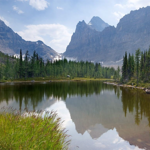 《小樱鸣人》免费漫画
