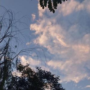 《小樱鸣人》免费漫画
