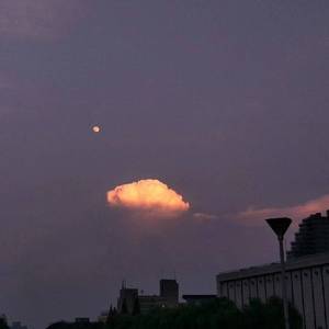 《小樱鸣人》免费漫画
